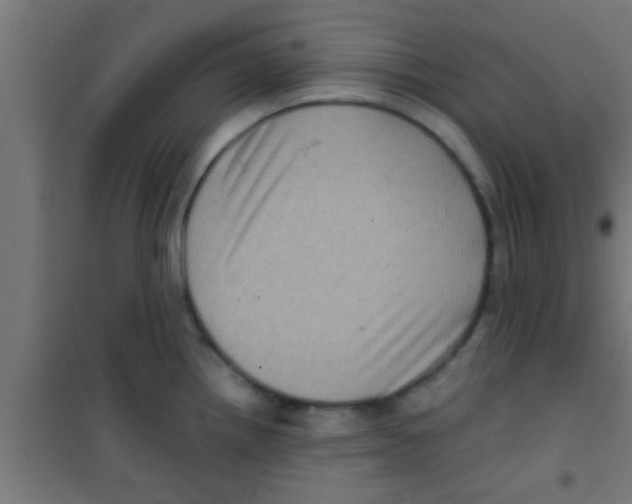 X0000100391242200807031942