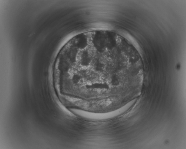 X0000100391243200807031942