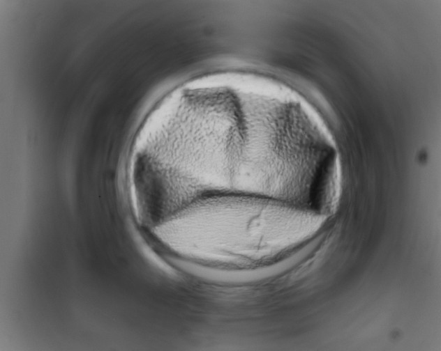 X0000100391247200807031942