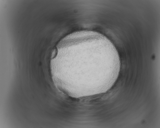 X0000100391249200807031941