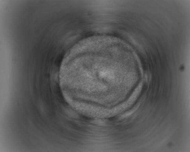 X0000100391251200807031941