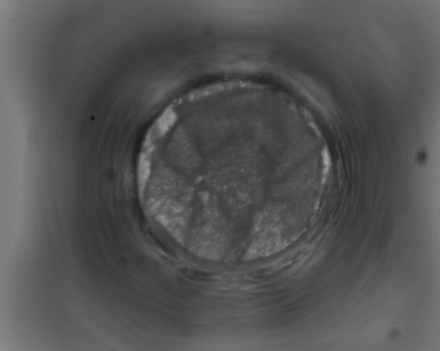 X0000100391252200807031941