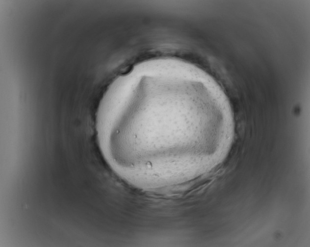 X0000100391253200807031941