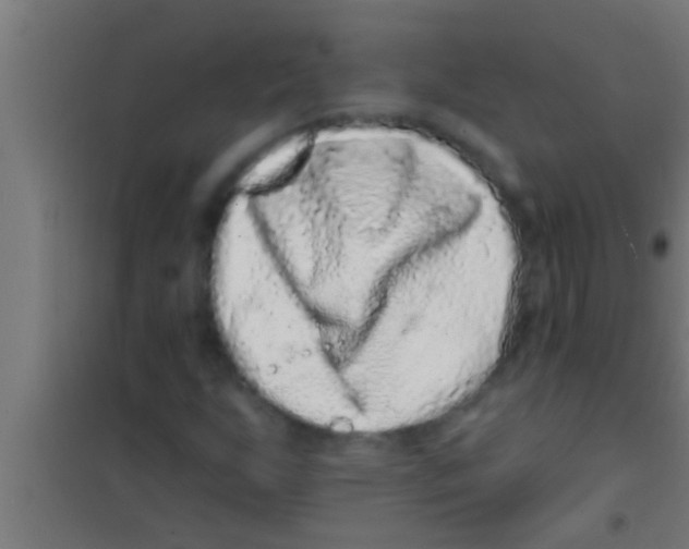 X0000100391255200807031941