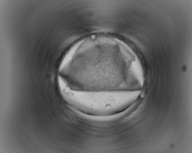 X0000100391257200807031941