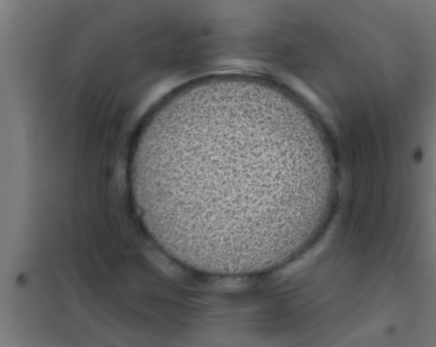 X0000100391259200807031941