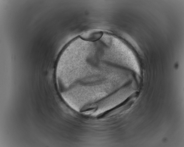 X0000100391260200807031941