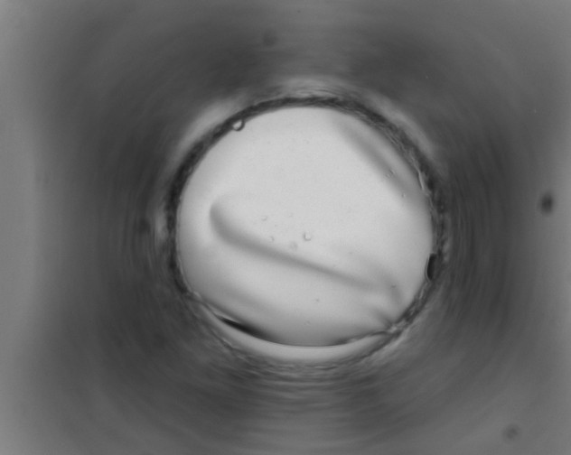 X0000100391261200807031941