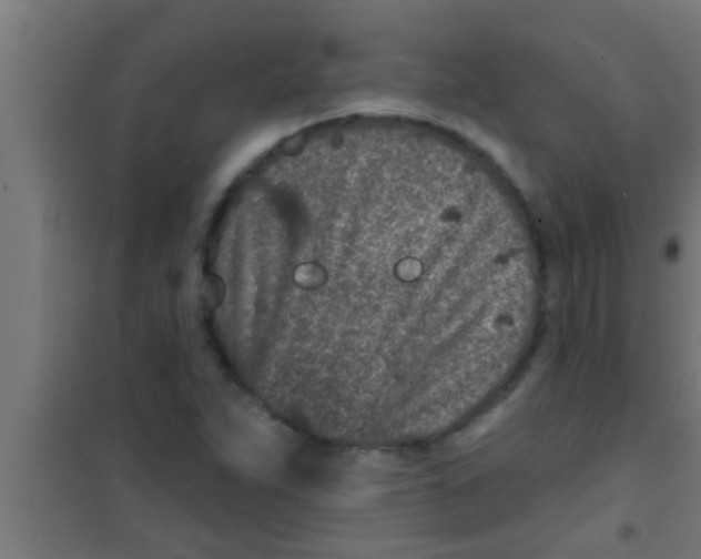 X0000100391263200807031941