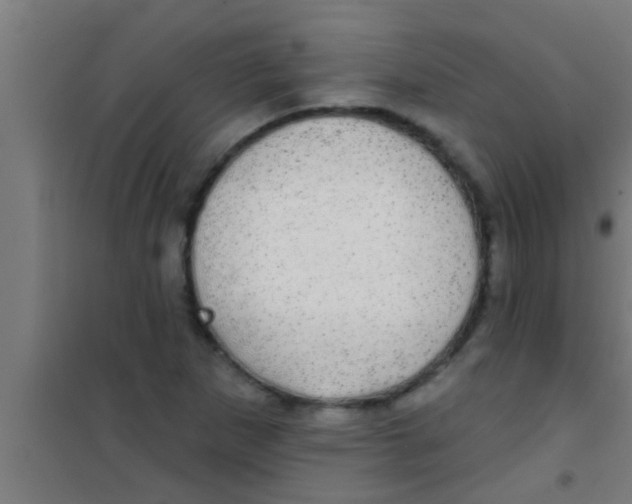 X0000100391265200807031941