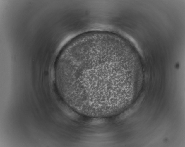 X0000100391267200807031941