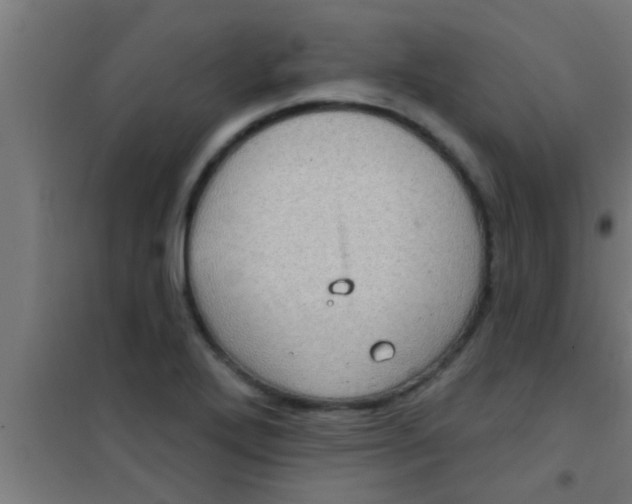 X0000100391272200807031941