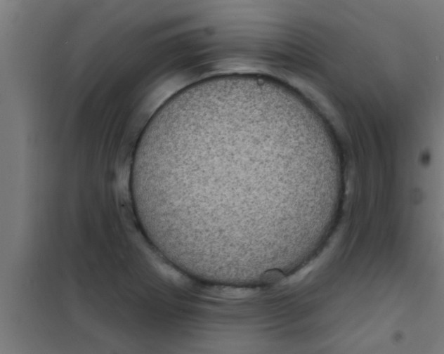 X0000100391273200807031941