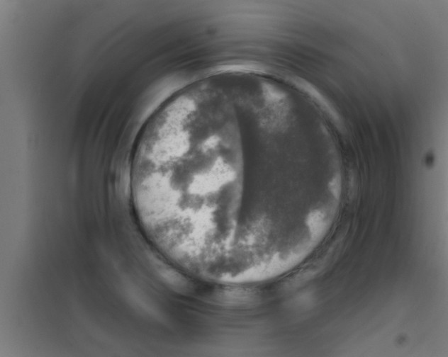 X0000100391274200807031941