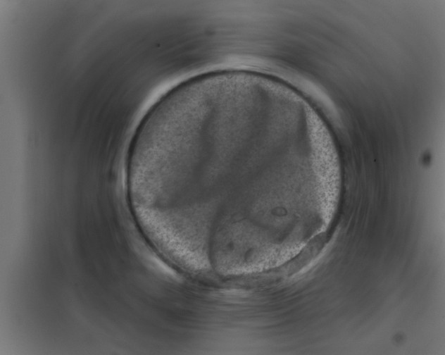 X0000100391280200807031941