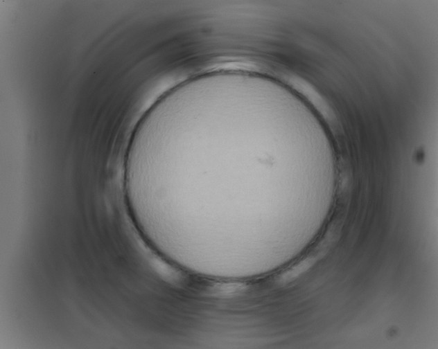 X0000100391282200807031941