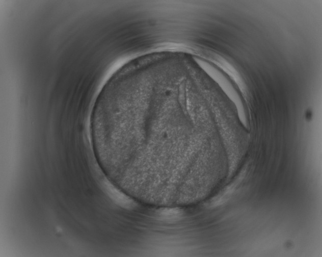 X0000100391283200807031941