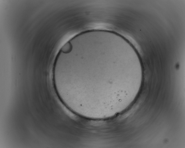 X0000100391285200807031941