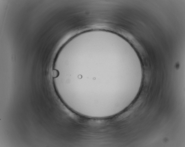 X0000100391286200807031941