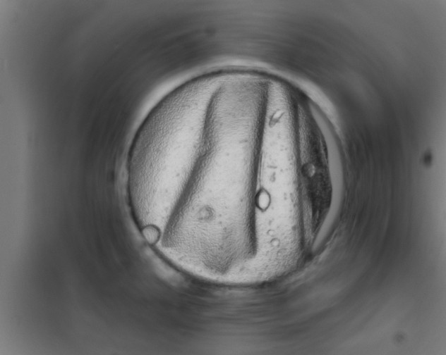 X0000100391287200807031941