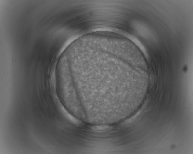 X0000100391290200807031941