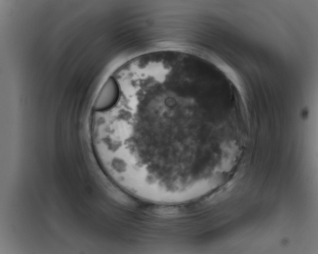 X0000100391291200807031941