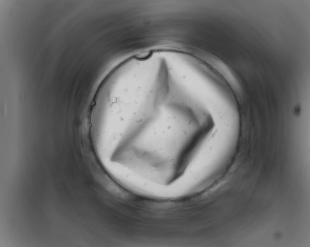 X0000100391292200807031941