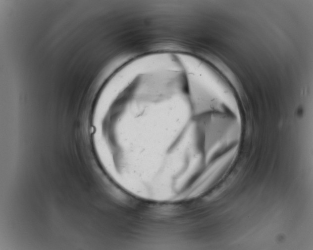 X0000100391293200807031941