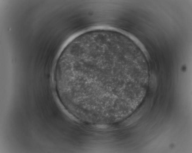 X0000100391295200807031941