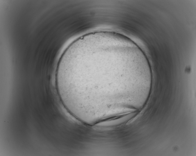 X0000100391296200807031941