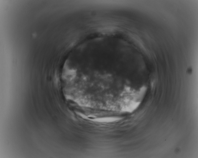 X0000100391298200807031940