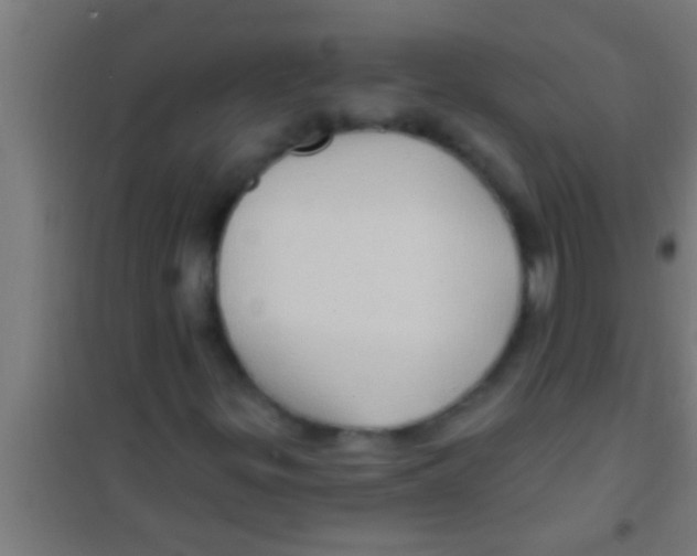 X0000100391299200807031940