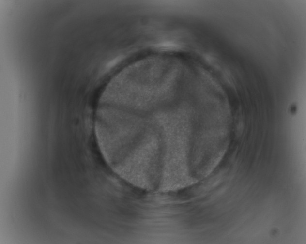 X0000100391301200807031940