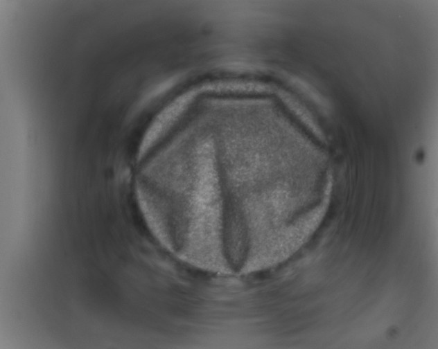 X0000100391302200807031940