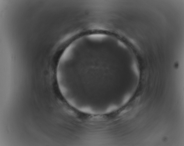 X0000100391303200807031940