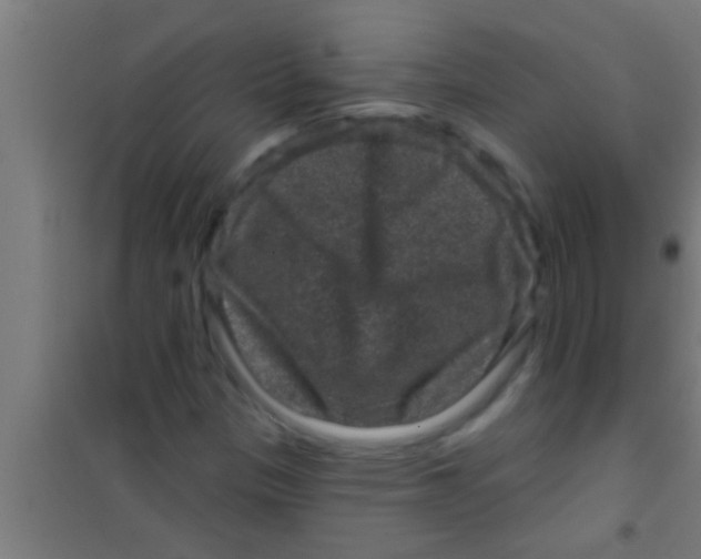 X0000100391305200807031940