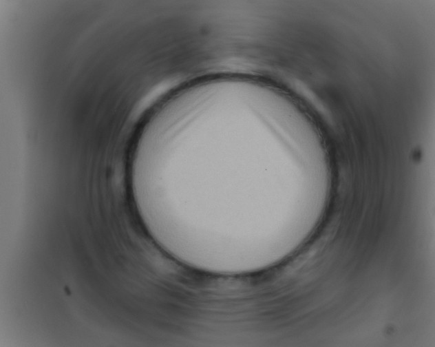 X0000100391307200807031940