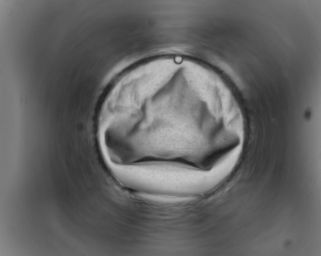 X0000100391308200807031940