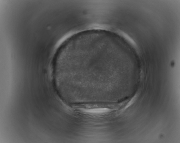 X0000100391310200807031940