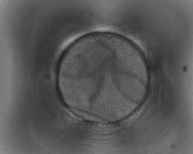 X0000100391311200807031940