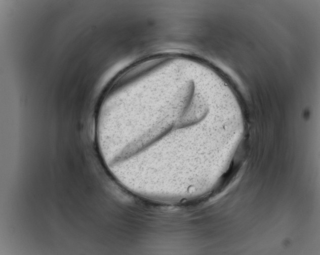 X0000100391317200807031940