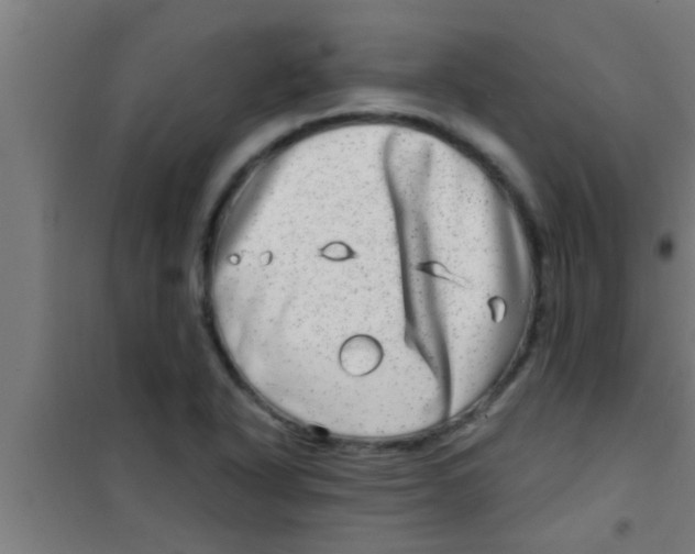 X0000100391318200807031940