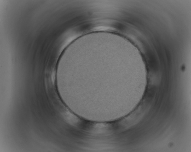 X0000100391322200807031940