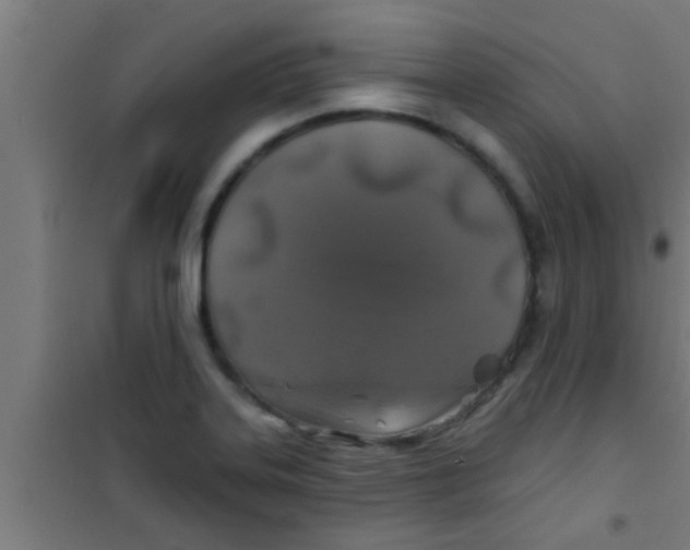 X0000100391323200807031940