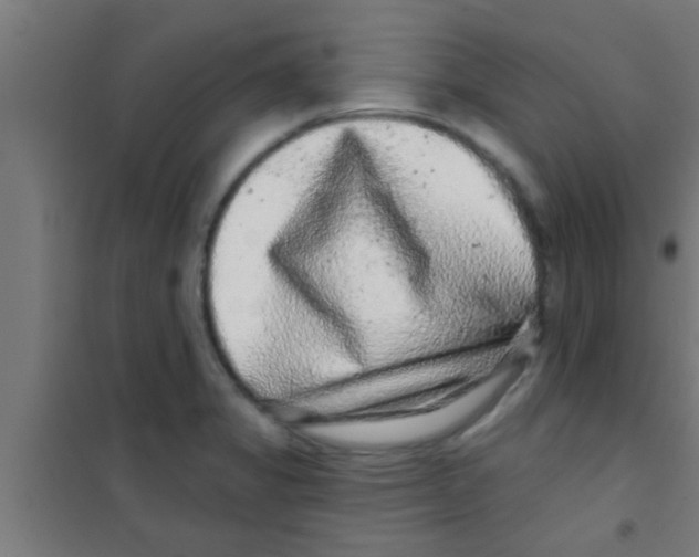 X0000100391325200807031940