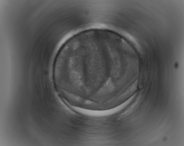 X0000100391326200807031940