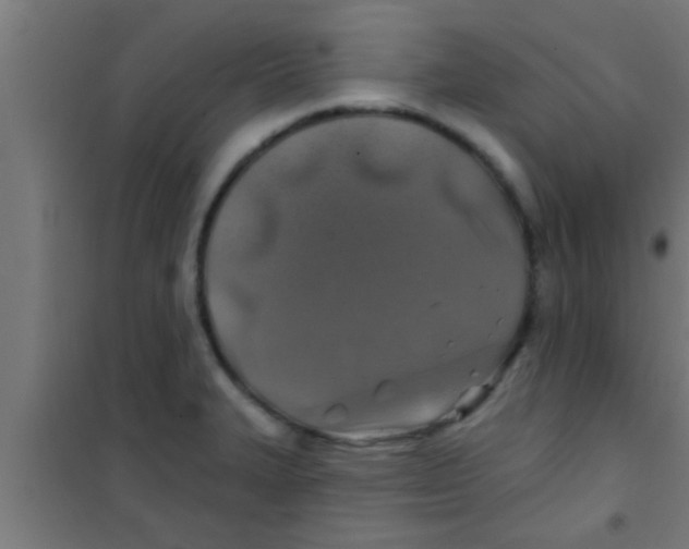 X0000100391327200807031940