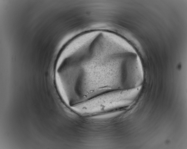 X0000100391328200807031940