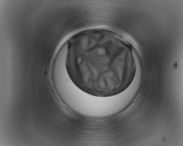 X0000100391332200807031940