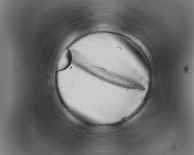 X0000100391333200807031940